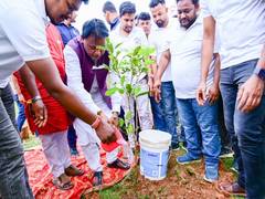 
      
      Odisha CM Majhi plant saplings at Raikala village
      
      
