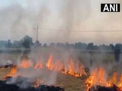 
      
      Incident of stubble burning seen in fields of Punjab
      
      