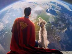 
      
      Krypto the Superdog to appear in James Gunn’s ‘Superman’
      
      