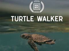 
      
      Here’s all we know about  'Turtle Walker'
      
      