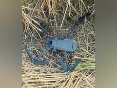 
      
      BSF, Punjab Police recover made-in-China drone in Tarn Taran
      
      