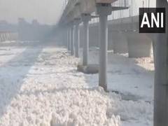 
      
      Delhi: Toxic foam seen floating on Yamuna River in Kalindi Kunj
      
      