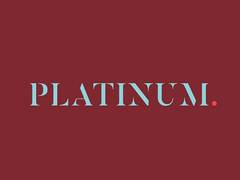 
      
      Platinum Industries Ltd. Eyes Global Acquisition
      
      