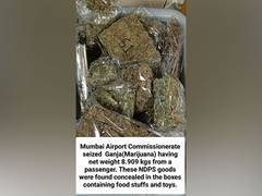 
      
       Mumbai Customs seize 8.909 kg of ganja worth Rs 8 crore
      
      