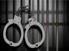 
      
      Delhi: Two arrested for robbing house of elderly couple
      
      