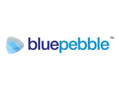 
      
      Blue Pebble Limited H1 FY25 Results: PAT Soars by 356.27 per cent
      
      