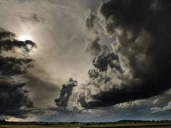 
      
      Cyclone Dana: Landfall expected on Oct 24, heavy rainfall likely
      
      