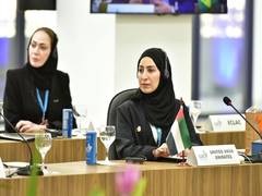 
      
      UAE participates in G20 Empowerment of Women Working Group
      
      