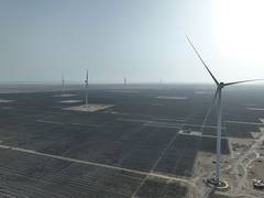 
      
      Adani Green Energy’s Q2 profits rose 21 pc to Rs 1,249 crore
      
      