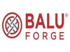 
      
      Balu Forge Industries Ltd. Announces Q2FY25 Financial Results
      
      