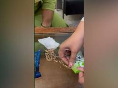 
      
      Delhi customs intercept two passengers at IGI airport for alleged
      
      