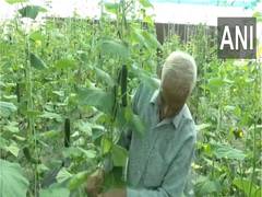 
      
      Polyhouse farming boosts yields in Udhampur under HADP initiative
      
      