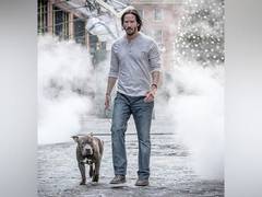 
      
      Keanu Reeves stood up for 'John Wick's' emotional core 
      
      