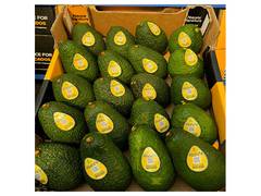 
      
      Abacate International Introduces Signature Avocados to India
      
      