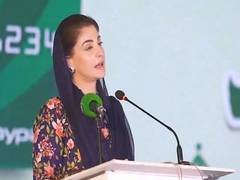 
      
      Maryam Nawaz calls for ‘smog diplomacy’ with India 
      
      