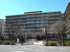 
      
      Japan protests call for reviewing male-only imperial succession
      
      
