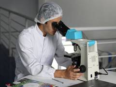 
      
      Study finds techniques to protect neurons from high-fat diet 
      
      