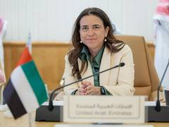 
      
      UAE attends meetings for implementation of two-state solution
      
      