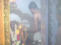 
      
      US polls: Special puja held at Kamala Harris' ancestral village
      
      