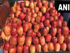 
      
      JK: Prices of Kashmiri apples fall in Poonch
      
      