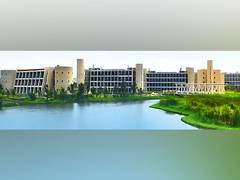 
      
      IIM Calcutta and TalentSprint curate an executive program
      
      