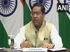 
      
      “We again urge Bangladesh to ensure safety of Hindus,” MEA
      
      