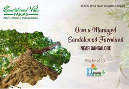 
      
      Estatebull Realtors Launches Sandalwood Vista Farms
      
      