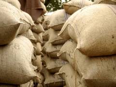 
      
      Food Corporation of India and state agencies procure 120.67 LMT p
      
      