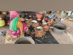 
      
      Konkan’s cashew industry faces uphill battle with rising costs
      
      