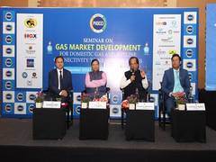 
      
      Northeast’s natural gas potential could save Rs 14,000 crore
      
      