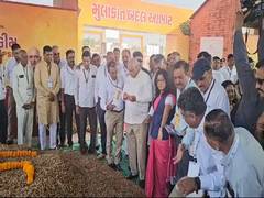 
      
      Gujarat CM initiates procurement of groundnut on support price
      
      