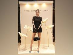 
      
      The Collective Re-Launches at Elante Mall, Chandigarh
      
      