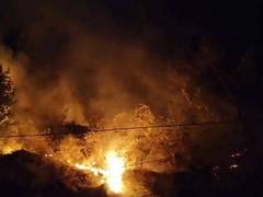 
      
      Fire breaks out in forest area in J-K’s Doda
      
      