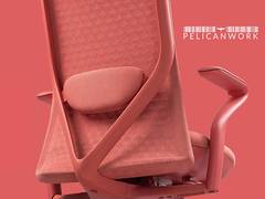
      
      Pelican Group Launches Pelicanwork
      
      