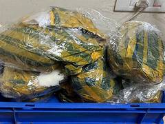 
      
      Delhi: 7.321 kg suspected heroin worth Rs 29.28 cr seized at IGI 
      
      