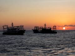 
      
      China intensifies naval, air patrols in South China Sea 
      
      