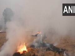 
      
      Stubble burning continues in Punjab
      
      