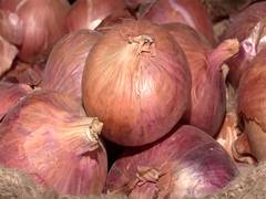 
      
      Onion prices will remain high in November says a research report 
      
      