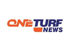 
      
      OneTurf News Launches as the Ultimate Sports Platform
      
      