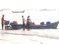 
      
      Fisherfolk at Dandi Hawar market list concerns as Maha poll nears
      
      