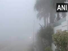
      
      Haryana: Thick layer of smog engulfs Karnal, AQI in 'poor' catego
      
      
