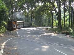 
      
      Darjeeling Himalayan Railway resumes toy train service
      
      