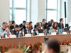 
      
      UAE participates in fourth G20 Sherpa Meeting
      
      