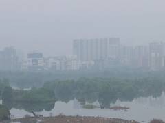 
      
      Thick smog engulfs parts of Mumbai; AQI reaches 225 in Worli
      
      