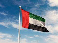 
      
      UAE President receives Qatari Prime Minister
      
      