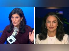 
      
      Nikki Haley opposes appointment of Tulsi Gabbard as DNI
      
      