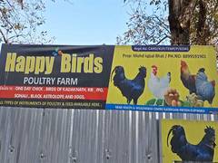 
      
      The journey from a salesman to a poultry entrepreneur
      
      
