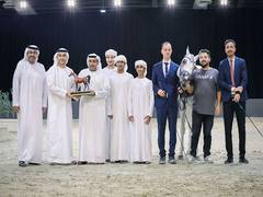 
      
      Fakhr Al Bateen wins Senior Stallions gold
      
      