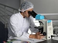
      
      Cancer cells fend off starvation, death from chemotherapy: Study 
      
      