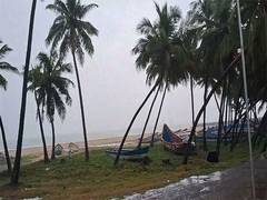 
      
      Seven NDRF teams mobilised as IMD forecasts heavy rain in Tamil N
      
      
